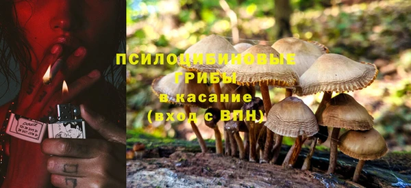 дживик Навашино